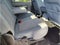2016 Ford F-350SD XLT DRW