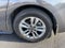 2025 Toyota Sienna Limited 7 Passenger