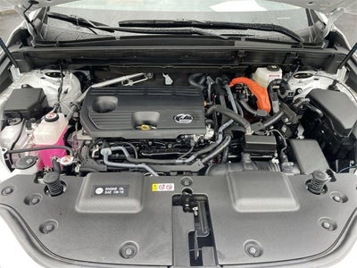 2025 Lexus NX 350h Premium