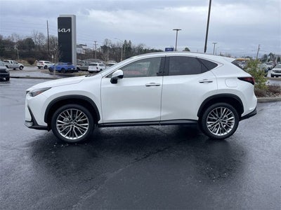 2025 Lexus NX 350h Premium