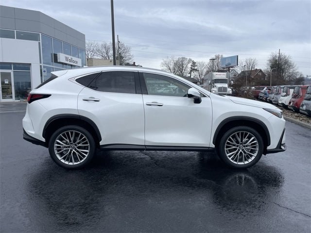 2025 Lexus NX 350h Premium