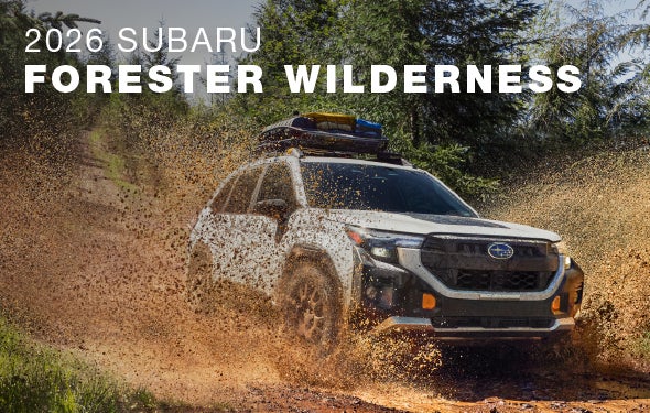 2026 Subaru Forester Wilderness | Wallace Subaru of Bristol in Bristol TN