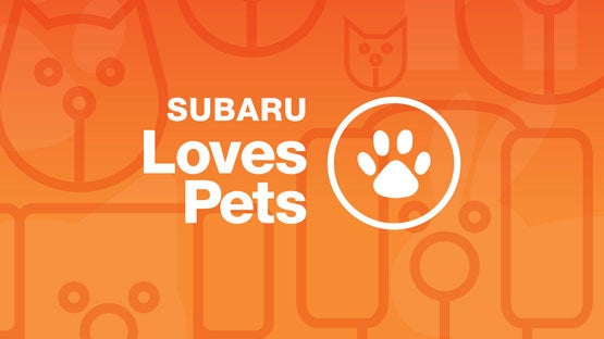 Wallace Subaru of Bristol in Bristol TN