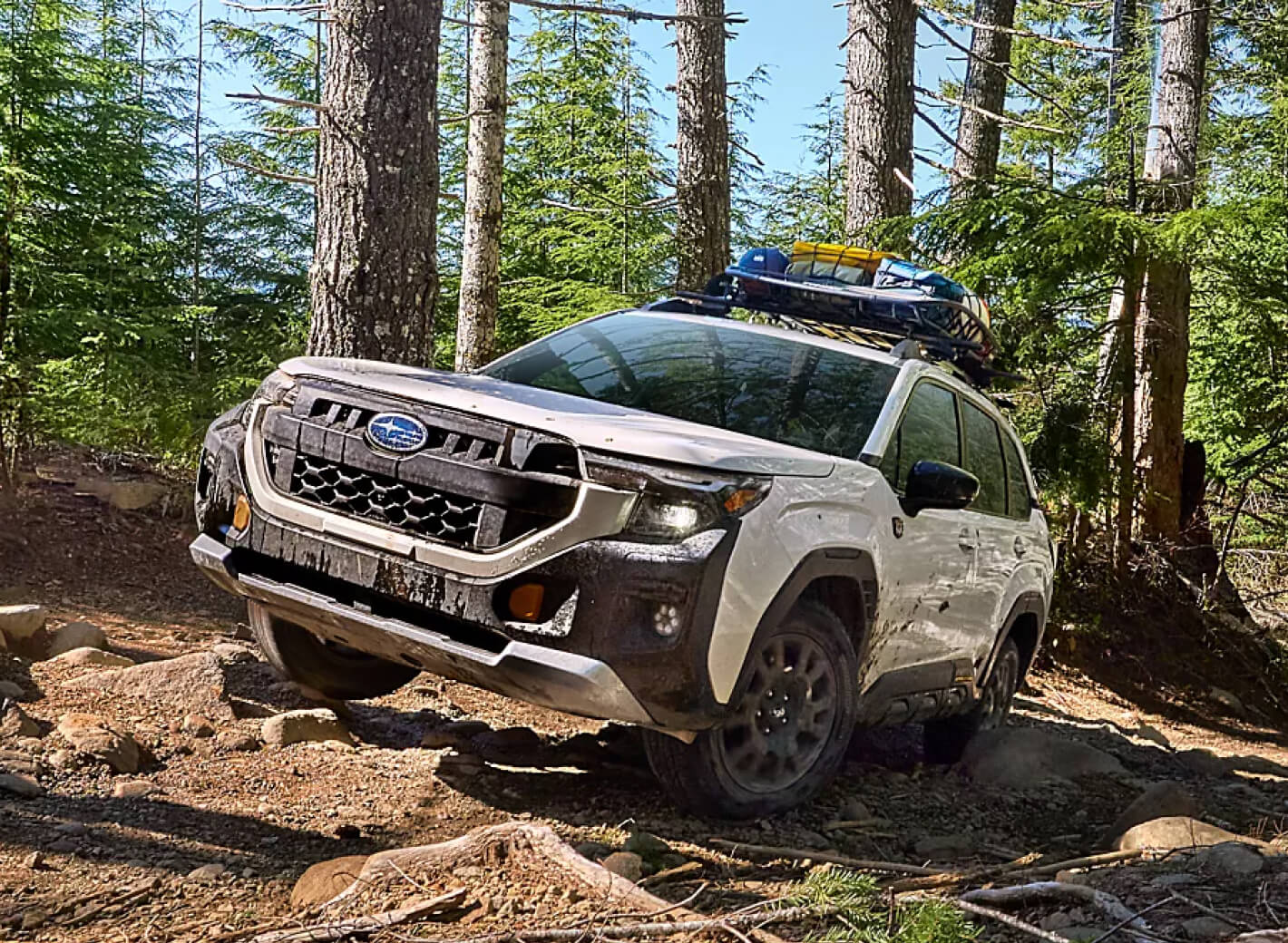Subaru Forester Wilderness with roof rack driving through wooded terrain.