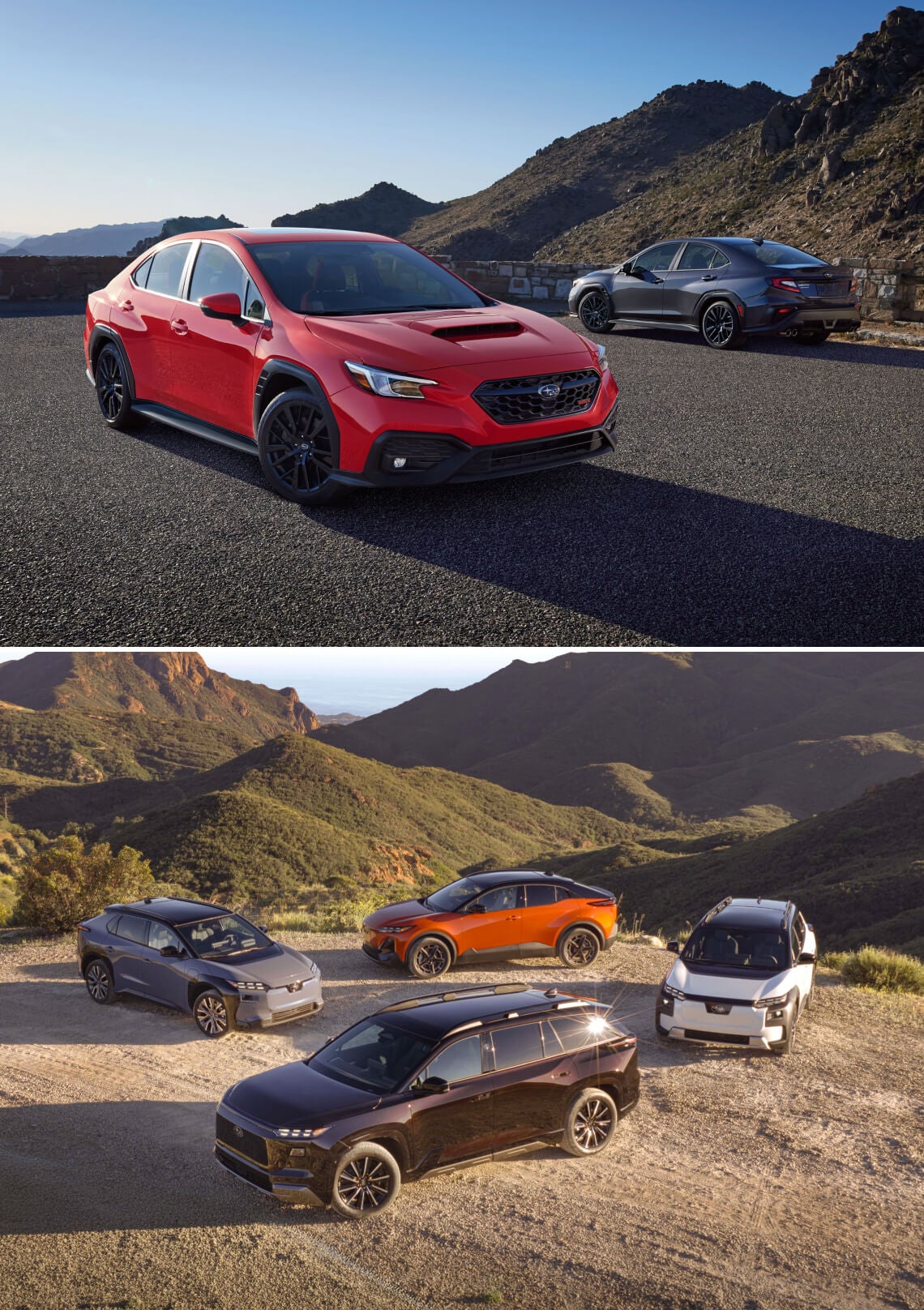 New Subaru SUVs and Cars