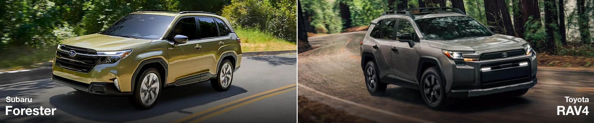 Subaru Forester and Toyota RAV4 driving side by side on tree-lined roads.