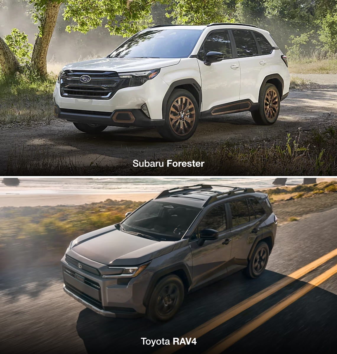 White Subaru Forester on a dirt road above a gray Toyota RAV4 driving along a coastal highway.