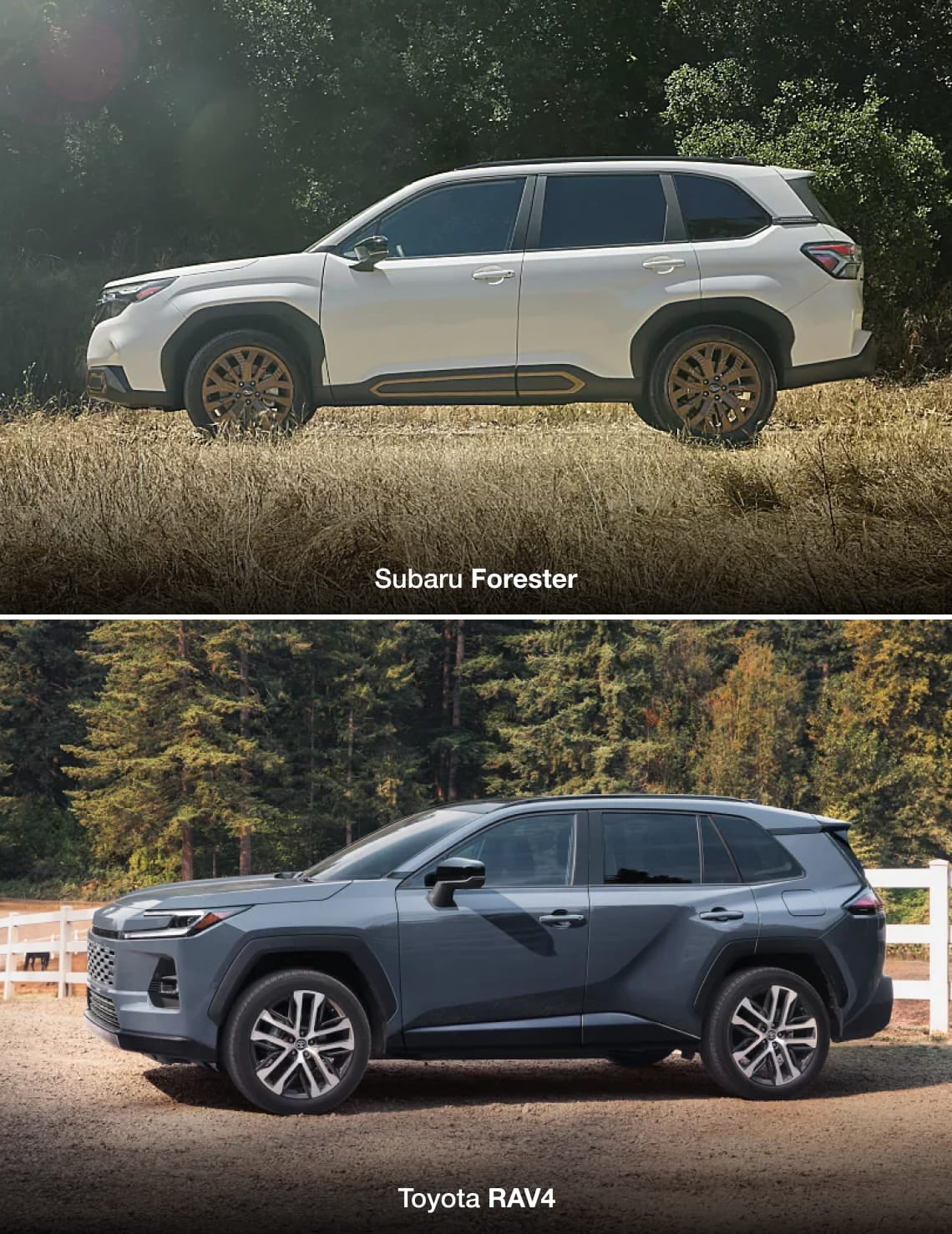 White Subaru Forester and gray Toyota RAV4 shown in side profile in wooded outdoor settings.